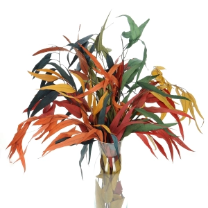 Preserved Eucalyptus color mix - bunch