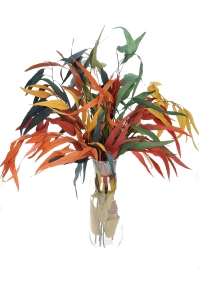 Preserved Eucalyptus color mix - bunch