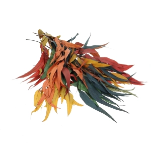 Preserved Eucalyptus color mix - bunch