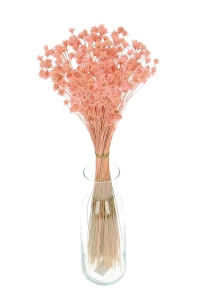Dried pink Hill Flower - bouquet ~150 pcs. - dried flowers