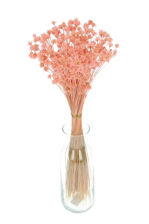 Dried pink Hill Flower - bouquet ~150 pcs. - dried flowers