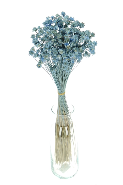 Dried blue Hill Flower - bouquet ~150 pcs. - dried flowers