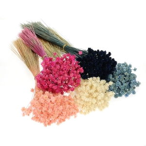 Dried blue Hill Flower - bouquet ~150 pcs. - dried flowers