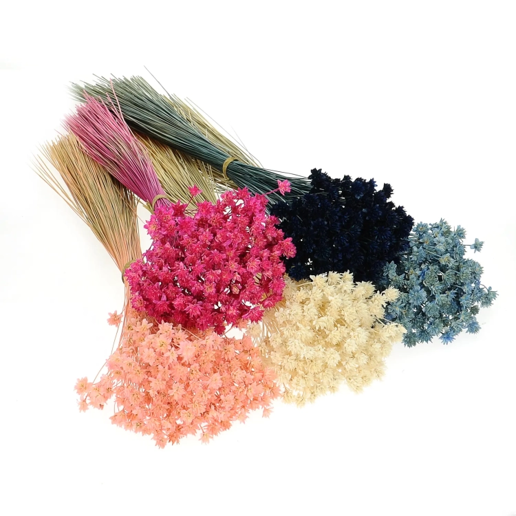 Dried blue Hill Flower - bouquet ~150 pcs. - dried flowers