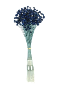 Dried navy blue Hill Flower - bouquet ~150 pcs. - dried flowers