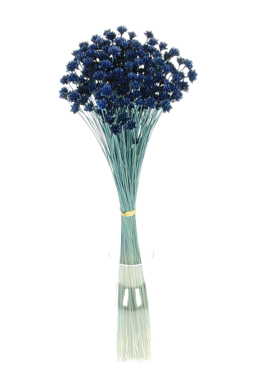 Dried navy blue Hill Flower - bouquet ~150 pcs. - dried flowers