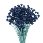 Dried navy blue Hill Flower - bouquet ~150 pcs - dried flowers
