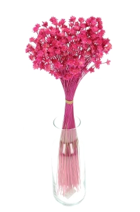 Dried fuchsia Hill Flower - bouquet ~150 pcs. - dried flowers