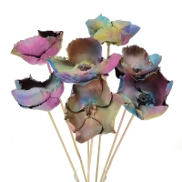 Dried Palm Cup color mix