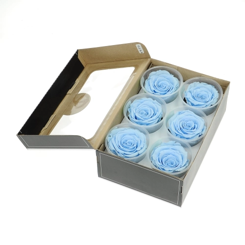 Everlasting roses (preserved) blue - large - set 6 pcs