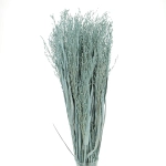 Dried grass - blue Switchgrass - bunch