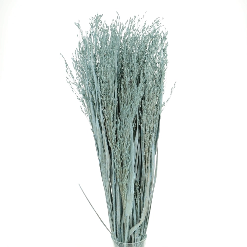 Dried grass - blue Switchgrass - bunch