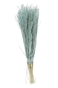 Dried grass - blue Switchgrass - bunch