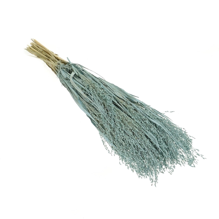 Dried grass - blue Switchgrass - bunch