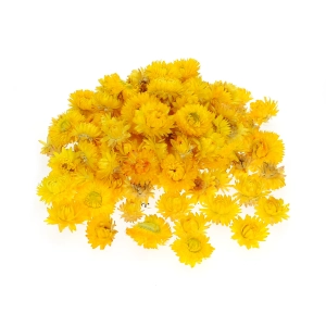 Dried yellow Helichrysum - heads, flowers 50 g, ~70 pcs