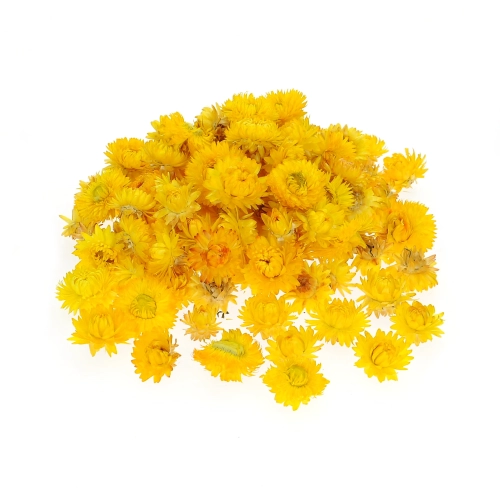 Dried yellow Helichrysum - heads, flowers 50 g, ~70 pcs