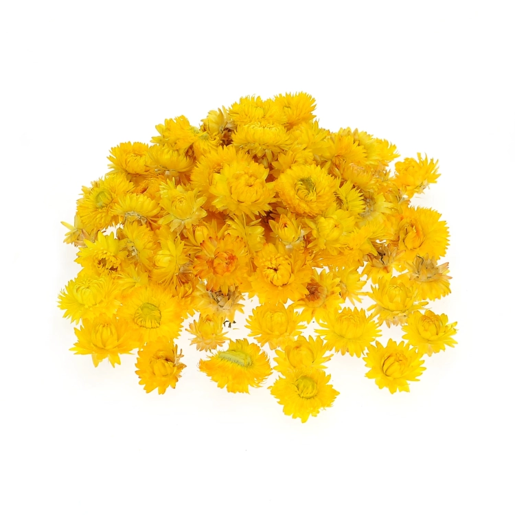 Dried yellow Helichrysum - heads, flowers 50 g, ~70 pcs