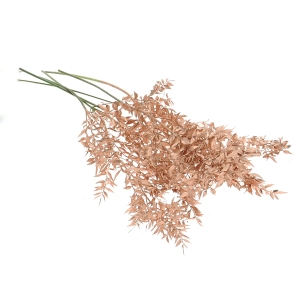 Dried copper Ruscus - bunch 5 stems