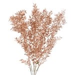 Dried copper Ruscus - bunch 5 stems 