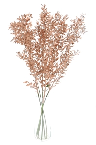 Dried copper Ruscus - bunch 5 stems