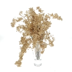 Dried decorative golden pepper 