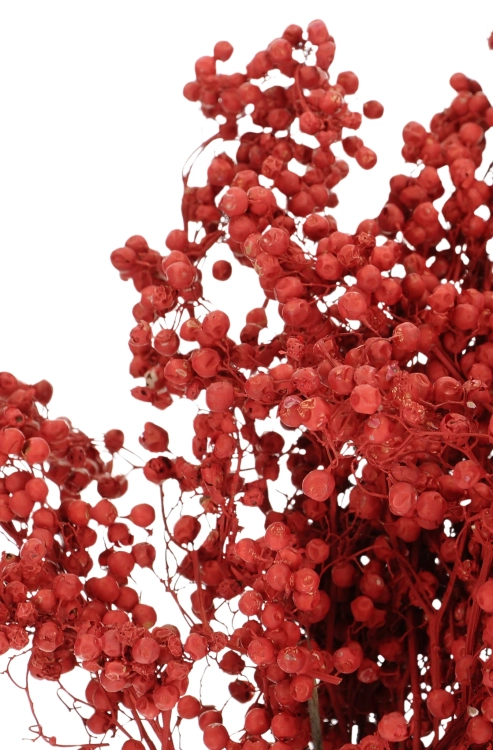 Dried decorative red pepper