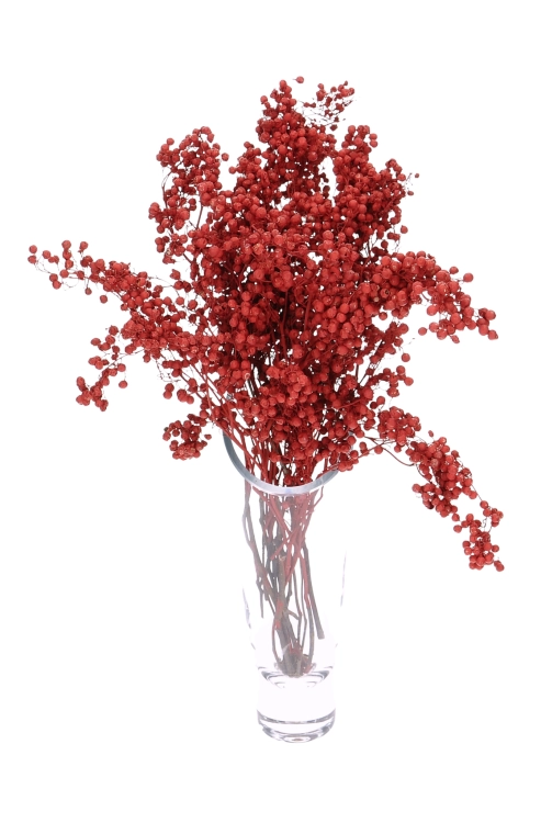 Dried decorative red pepper
