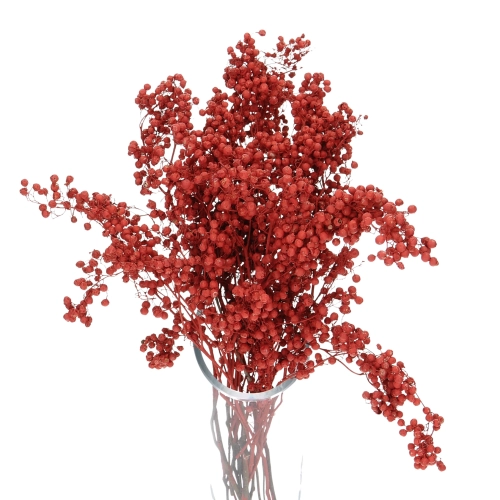 Dried decorative red pepper