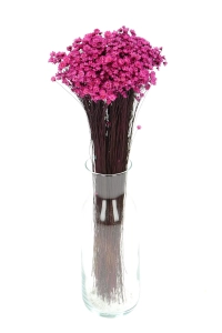 Suszona gliksja, glixia ciemnoróżowa - bukiet ~350 szt. - suszone kwiaty