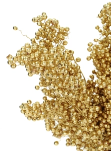 Dried decorative golden pepper
