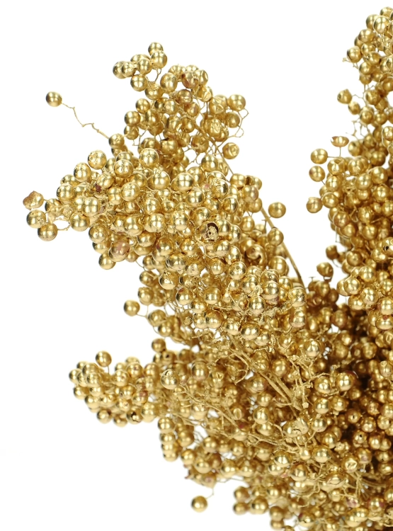 Dried decorative golden pepper
