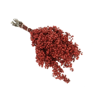 Dried decorative red pepper