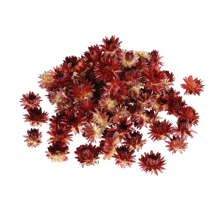 Dried red Helichrysum - heads, flowers 50 g, ~70 pcs