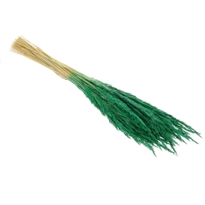Dried decorative grass - green - bunch ~50 stems