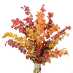 Preserved Eucalyptus Stuartiana autumn mix - bunch