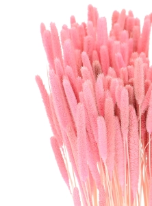 Suszona tymotka (Phleum) różowa - bukiet