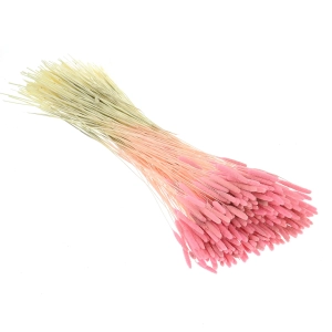 Suszona tymotka (Phleum) różowa - bukiet