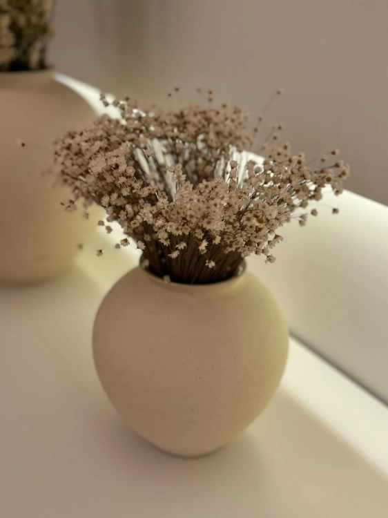 Dried natural Glixia - bunch ~350 stems - dried flowers