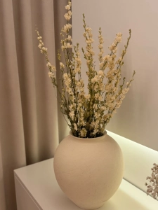 Dried flowers - white Delphinium - bunch