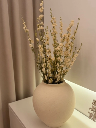 Dried flowers - white Delphinium - bunch