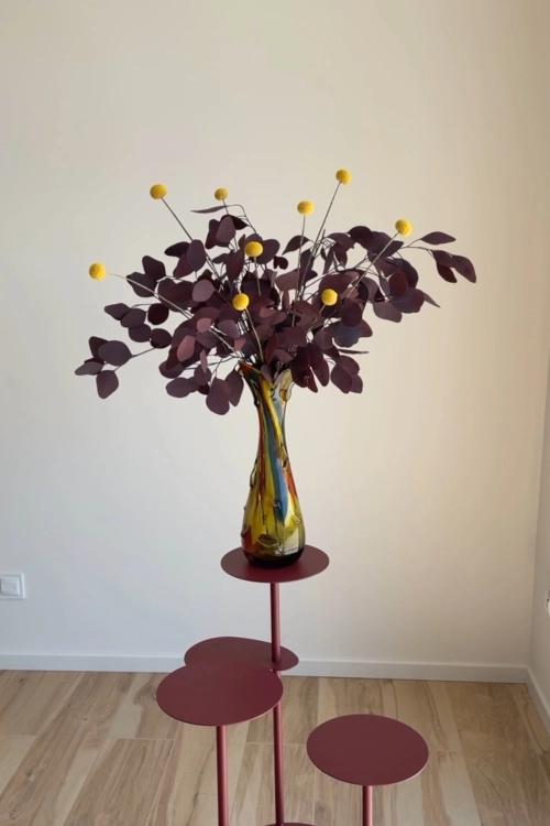 Preserved red Eucalyptus Populus - bunch