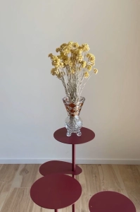 Dried honey yellow dwarf everlast (immortelle, Helichrysum) - bunch