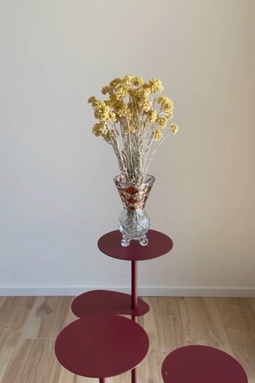 Suszone kocanki piaskowe miodowe (nieśmiertelnik, Helichrysum) - bukiet