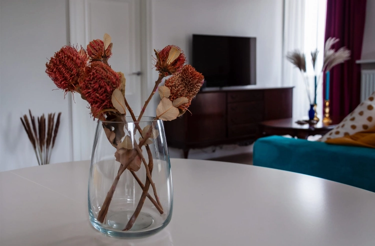 Dried Banksia Coccinea - stem - dried flowers