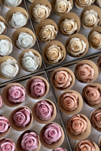 Small everlasting roses