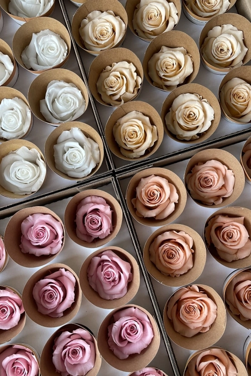 Small everlasting roses