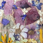 Pressed flowers - set with poppies ~40 pcs