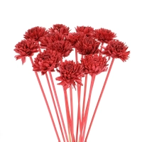Shola flower - red zinnia - stem