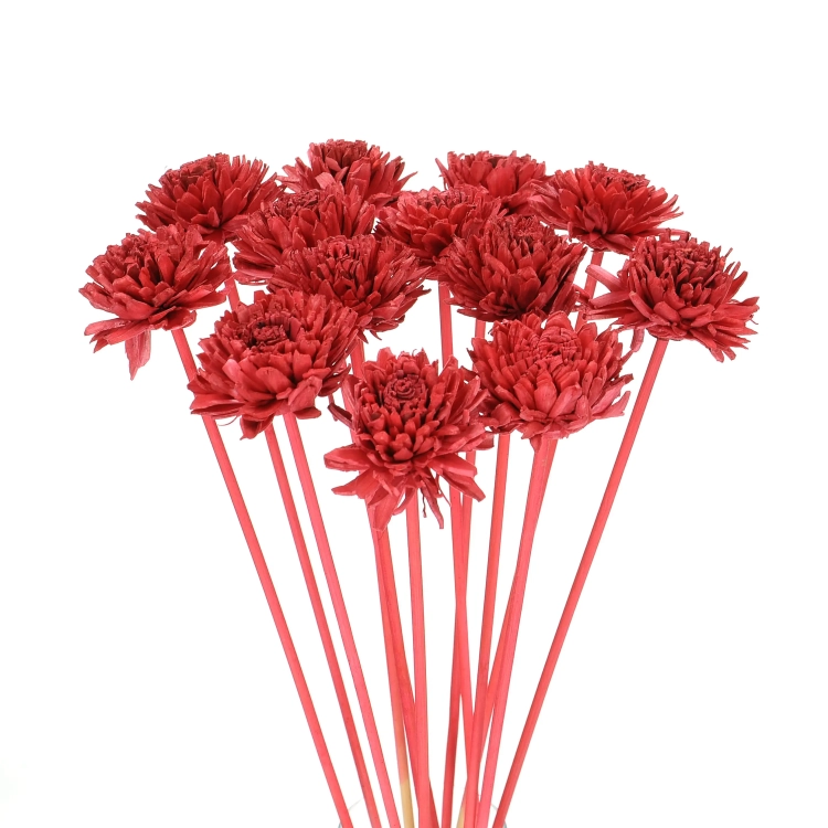 Shola flower - red zinnia - stem