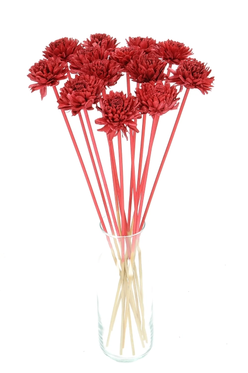 Shola flower - red zinnia - stem